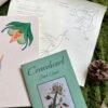 The Hummingbird | Crewel Embroidery Kit